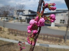 j2016.4.2 5.jpg